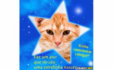 Moldura - Convite De 1 Ano