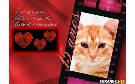 Moldura - Convite De 15 Anos