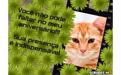 Moldura - Convite De Aniversario