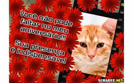 Moldura - Convite De Aniversario