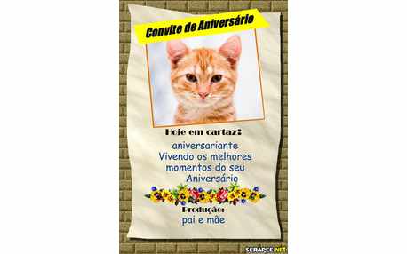 Moldura - Convite De Aniversario