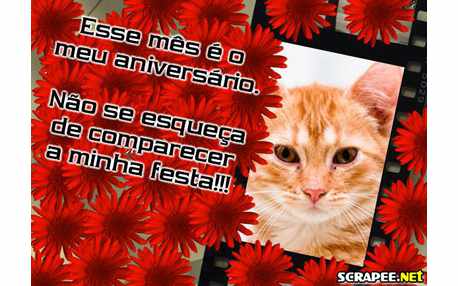 Moldura - Convite Virtual