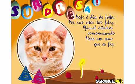 Moldura - Convite De Aniversario