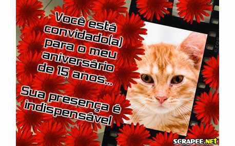 Moldura - Convite De 15 Anos