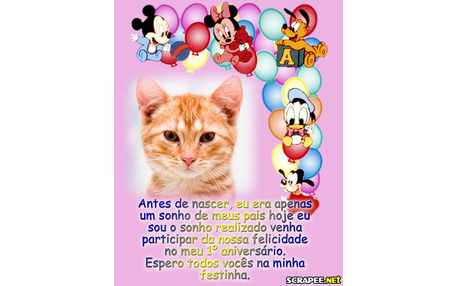 Moldura - Convite De 1 Ano