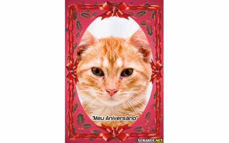 Moldura - Lembraca De Aniversario