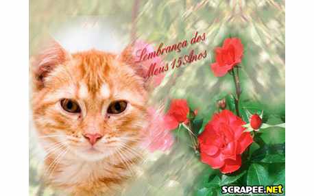 Moldura - Lembrancinha De 15 Anos