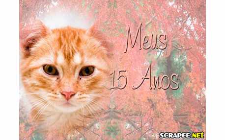 Moldura - Lembrancinha De 15 Anos