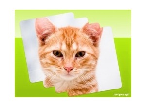 Moldura - Borda Simples 1