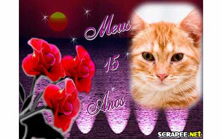 Moldura - Lembranca De 15 Anos