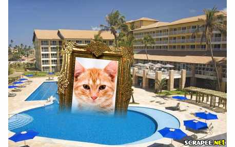 Moldura - Resort Salvador Bahia