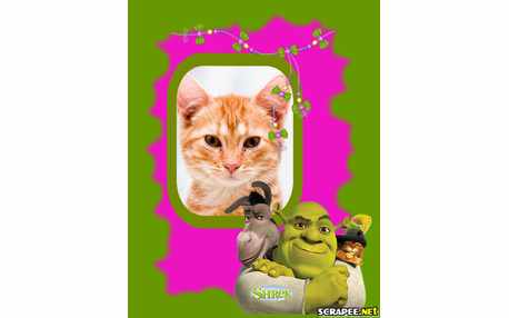 Moldura - Shrek