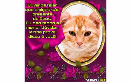 Moldura - Amigos Sao Presentes