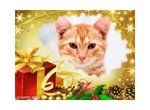 Moldura - Presente Especial