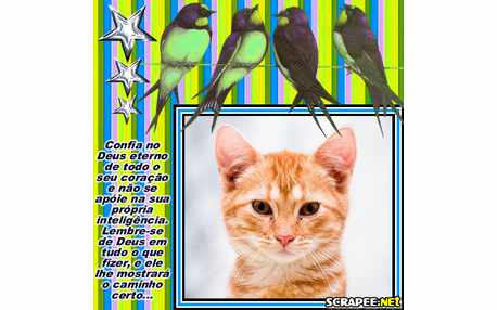 Moldura - Confia No Senhor