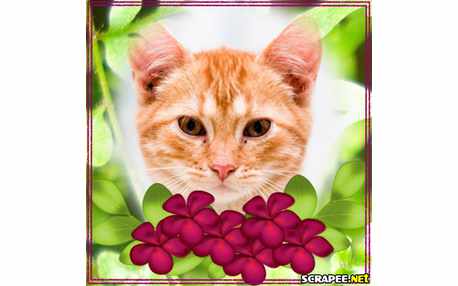 Moldura - Flor Vinho