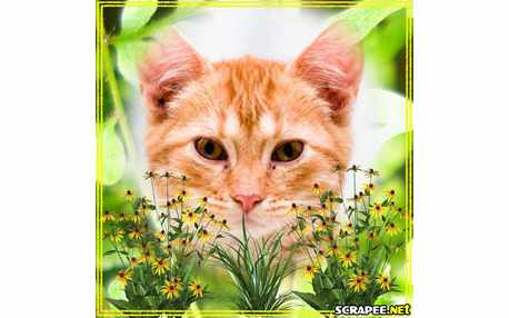 Moldura - Paisagem Florida