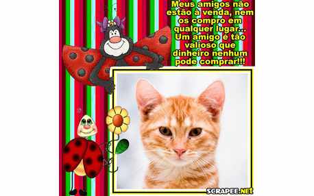 Moldura - Meu Amigos