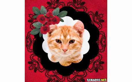 Moldura - Botoesinhos De Rosas