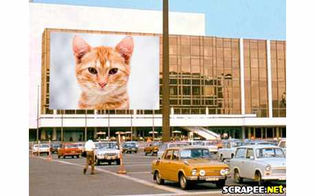 Moldura - Outdoor Antigo