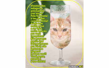 Moldura - Milagre Acontece