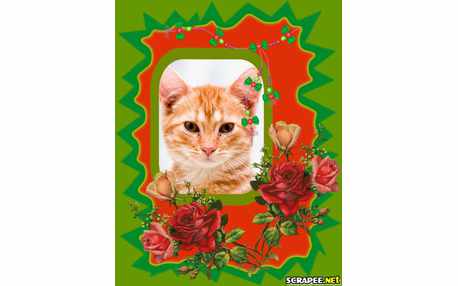 Moldura - Montagem De Rosas