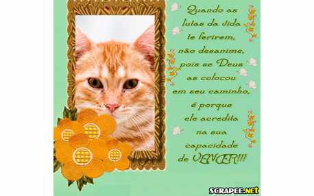 Moldura - Voce E Capaz