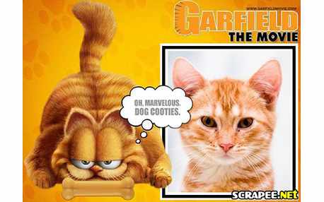 Moldura - Garfield 3