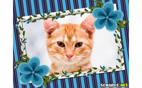 Moldura - Flores Azuis