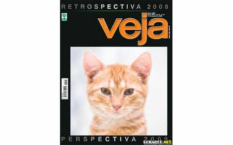 Moldura - Revista Veja Montagem