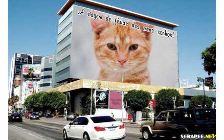 Moldura - Viagem De Ferias