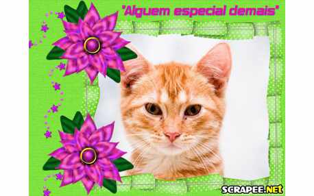 Moldura - Alguem Muito Especial