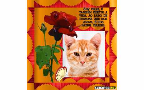 Moldura - Receita Da Felicidade