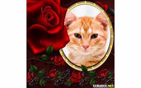 Moldura - Rosa Vermelha