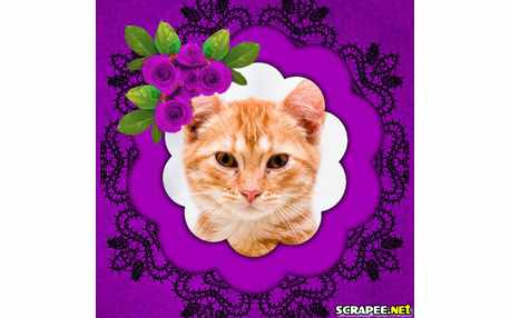 Moldura - Rosinhas Roxas