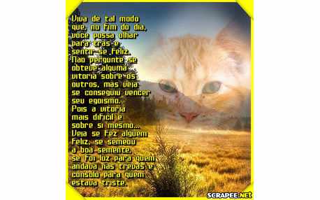 Moldura - Como Viver Bem