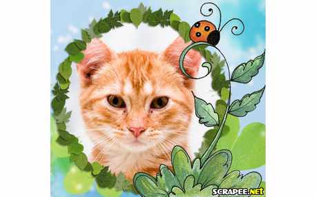 Moldura - Muitas Folhas