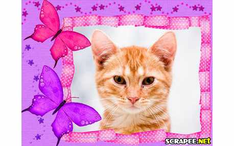 Moldura - Borboletas