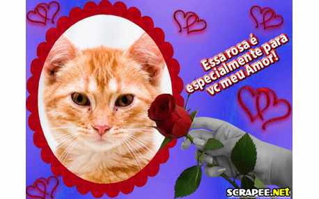 Moldura - Para Meu Amor