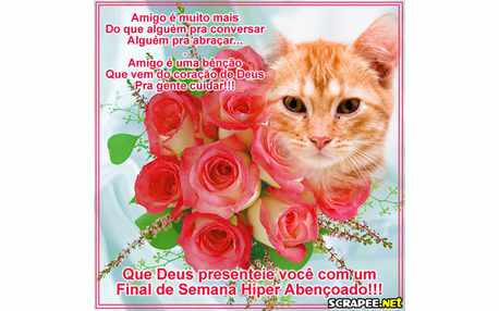 Moldura - Msg De Final De Semana