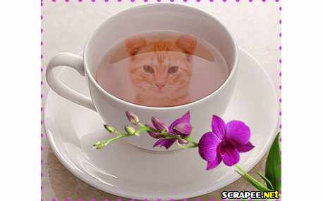 Moldura - Imagem Na Xicara