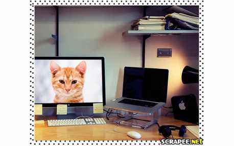 Moldura - Escritorio