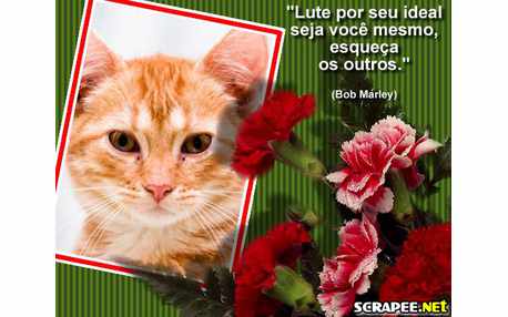 Moldura - Frase De Otimismo