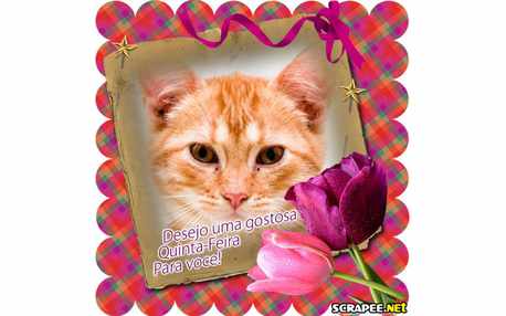 Moldura - Montagem De Quinta Feira