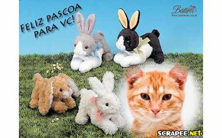 Moldura - Coelhinho Da Pascoa