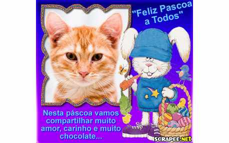 Moldura - Mensagem De Pascoa