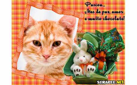 Moldura - Cesta De Pascoa