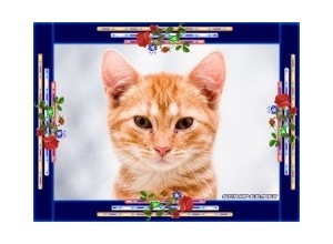 Moldura - Moldura Simples