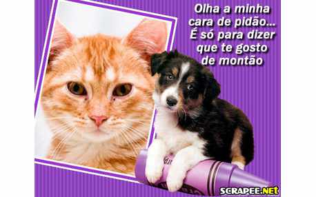 Moldura - Cara De Pidao