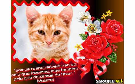 Moldura - Mensagem De Otimismo